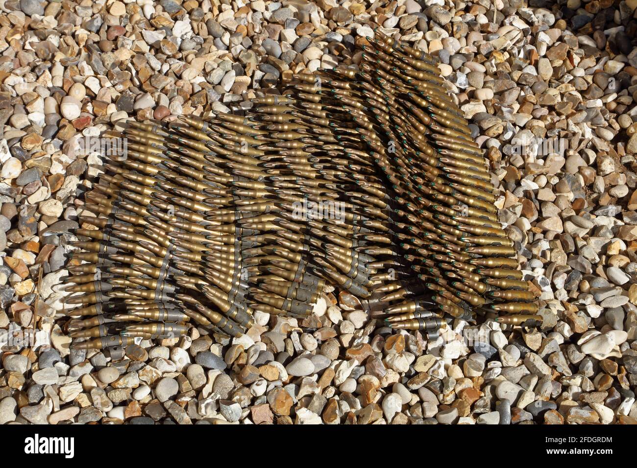 two belts of brass cased British army issue SLR blanks awaiting disposal and delivered in the incorrect boxes. Stock Photo