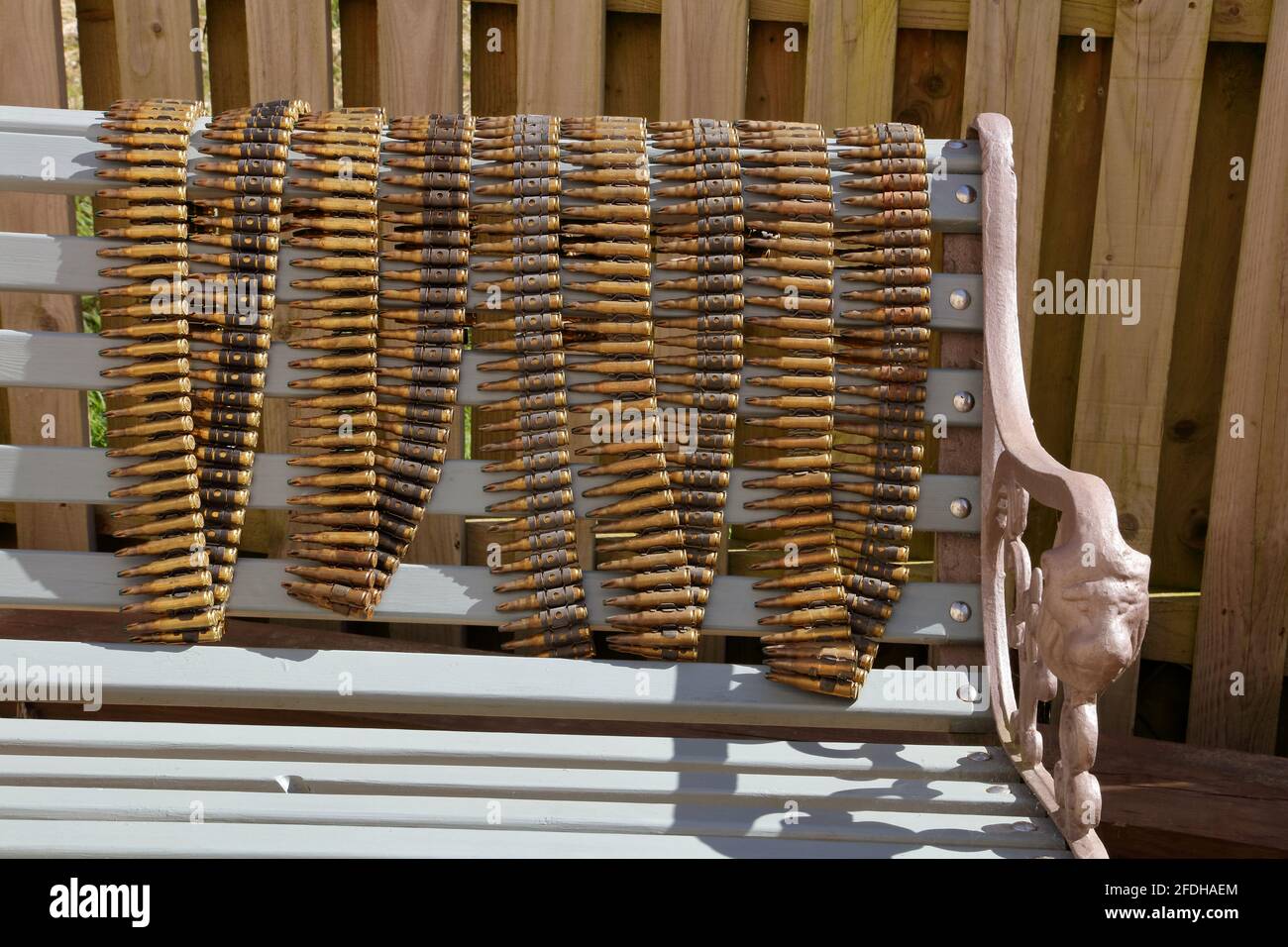 two belts of brass cased British army issue SLR blanks awaiting disposal and delivered in the incorrect boxes. Stock Photo