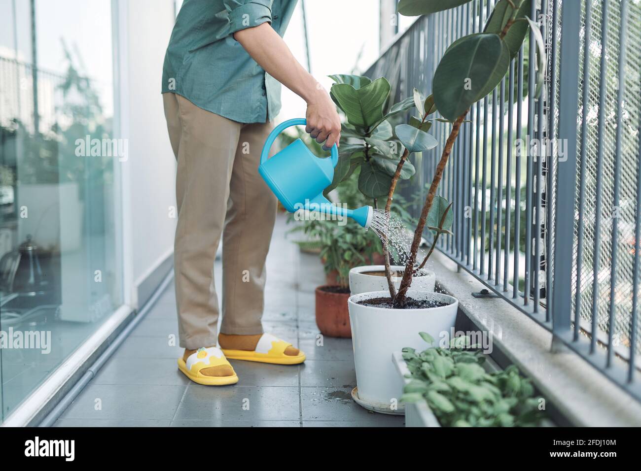 man watering house plants on the balcony Stock Photo Alamy