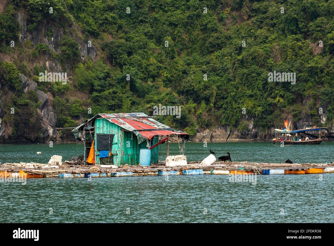 Floating Village and Fisher of the Halong Bay in Vietnam Stock Photo ...