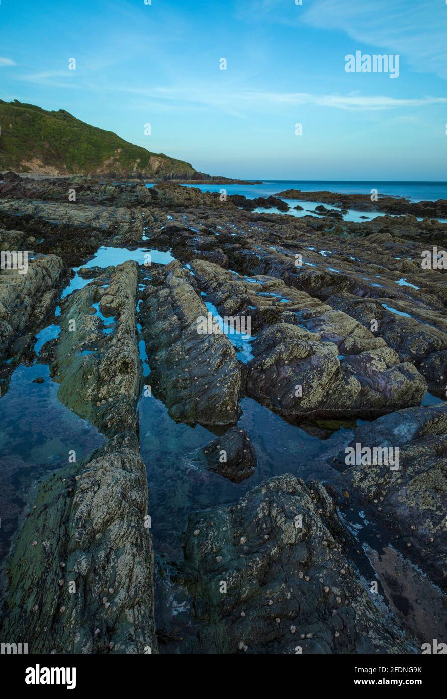 Rocky ledges at Talland Bay Cornwall Stock Photo
