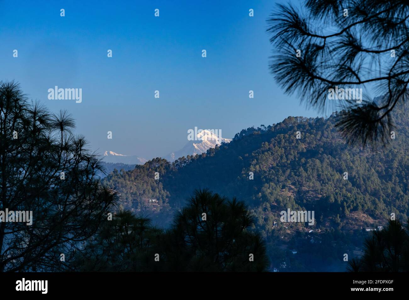 A view of the Trisul peak on the Himalayan range framed with pine trees on either sides and a mountain range at the bottom Stock Photo