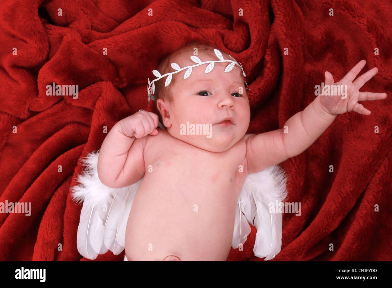 New born baby girl dress as an angel on soft red blanket Stock Photo