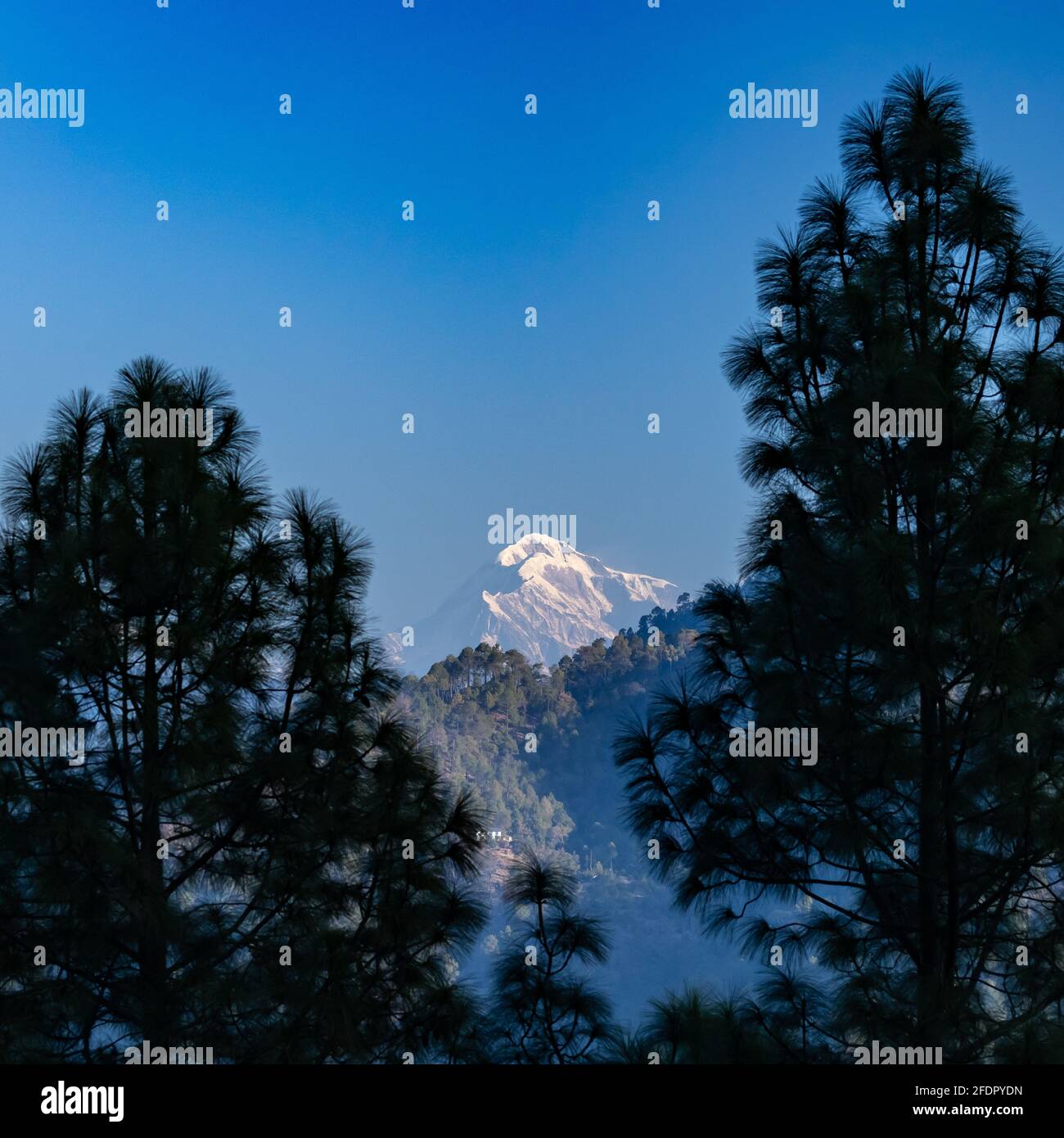 A view of the Trisul peak on the Himalayan range framed with pine trees on either sides and a mountain range at the bottom Stock Photo