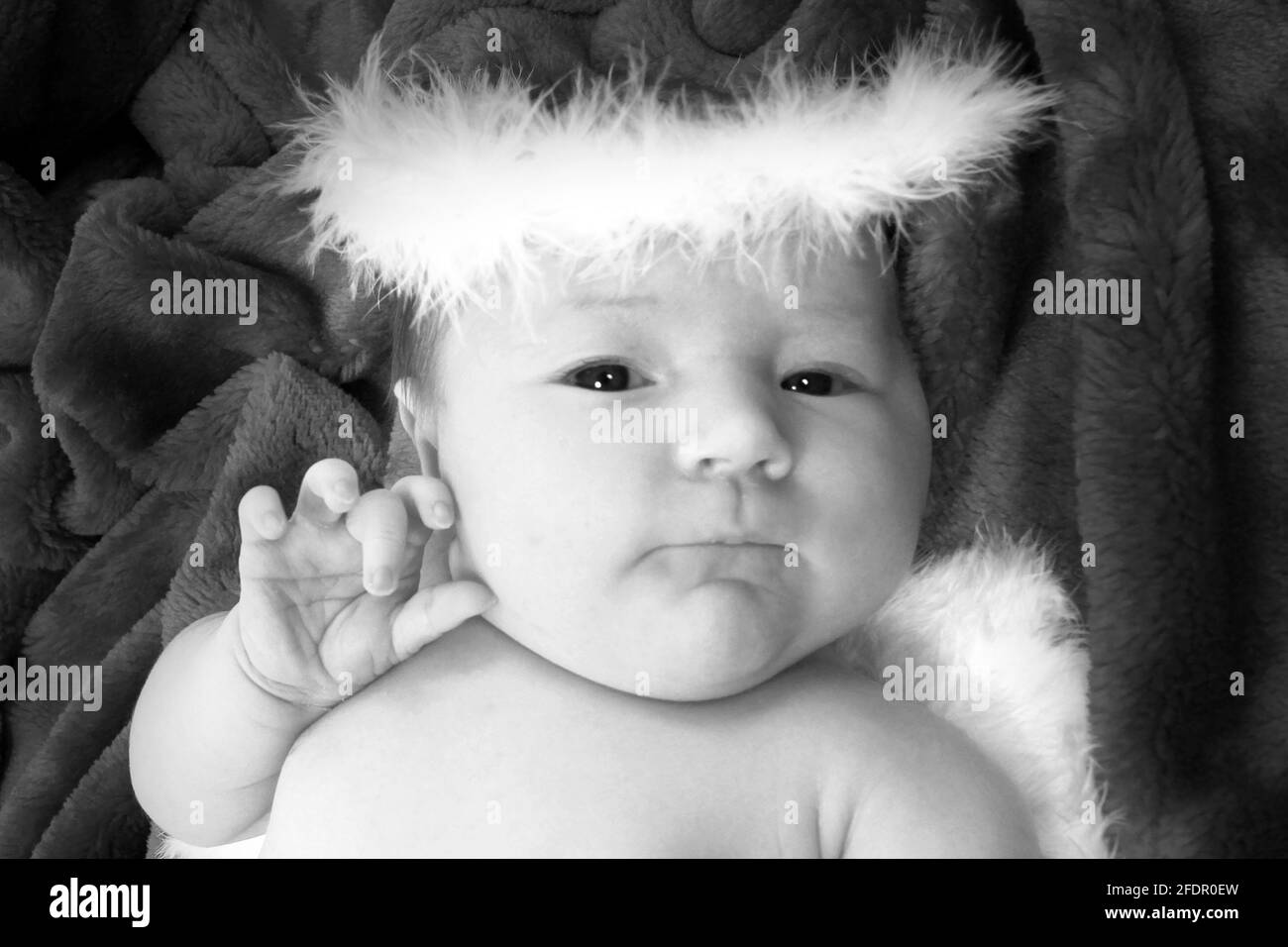 New born baby girl dress as an angel on soft red blanket Stock Photo