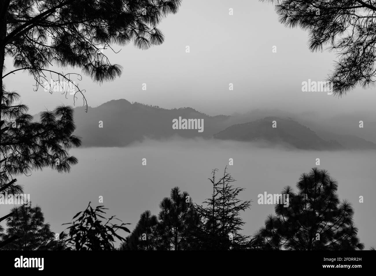 A black and white landscape view of mountains and valley covered in early morning fog and mist with trees framing the corners of the image Stock Photo