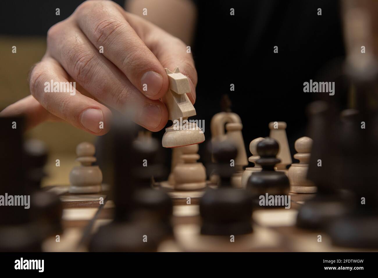 Hand taking next step on chess game. Human hand moving wooden white knight piece Stock Photo