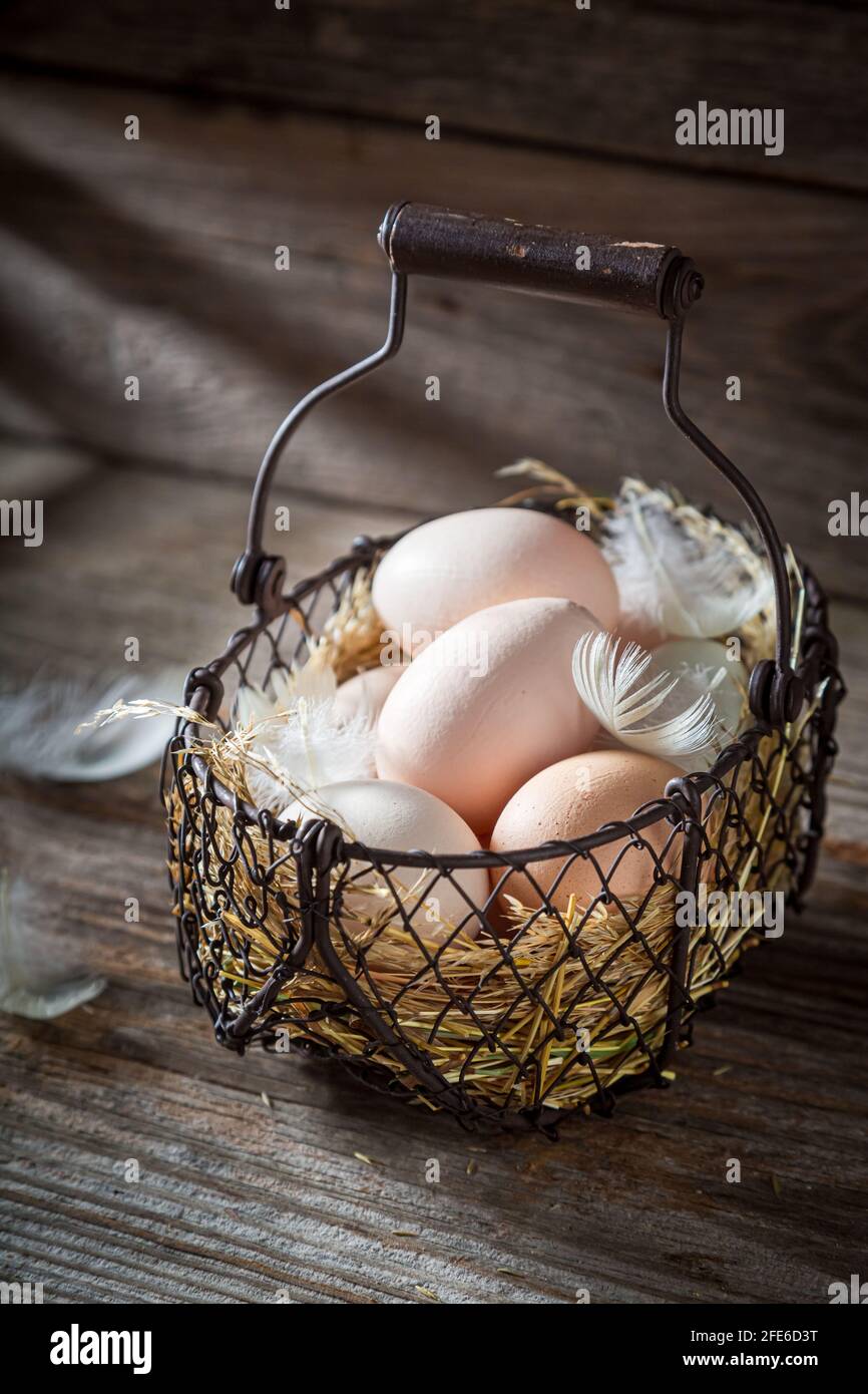 Fresh free range eggs in the basket. Free-range eggs. Stock Photo