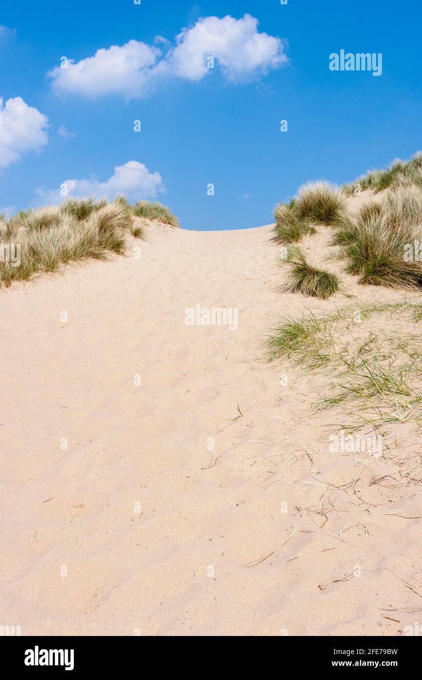 Sand dunes  NatureScot