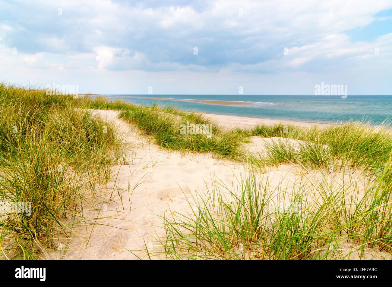 A sand bank appearing along a sandy beach with marram grass growing on the edge of the beach, at Burnham Overy Staith, Norfolk, UK. Stock Photo