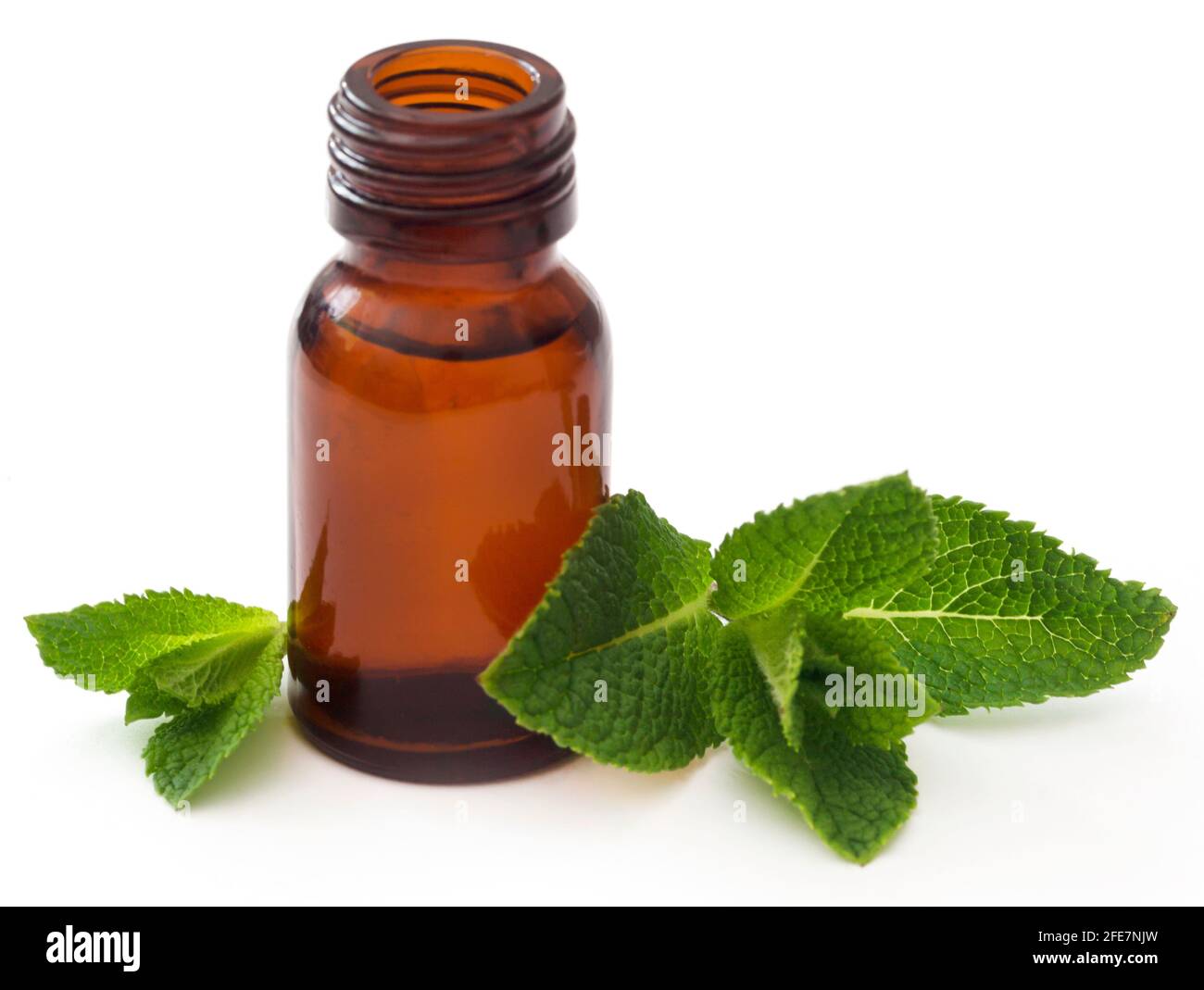 Mint leaves with essential oil in a bottle Stock Photo