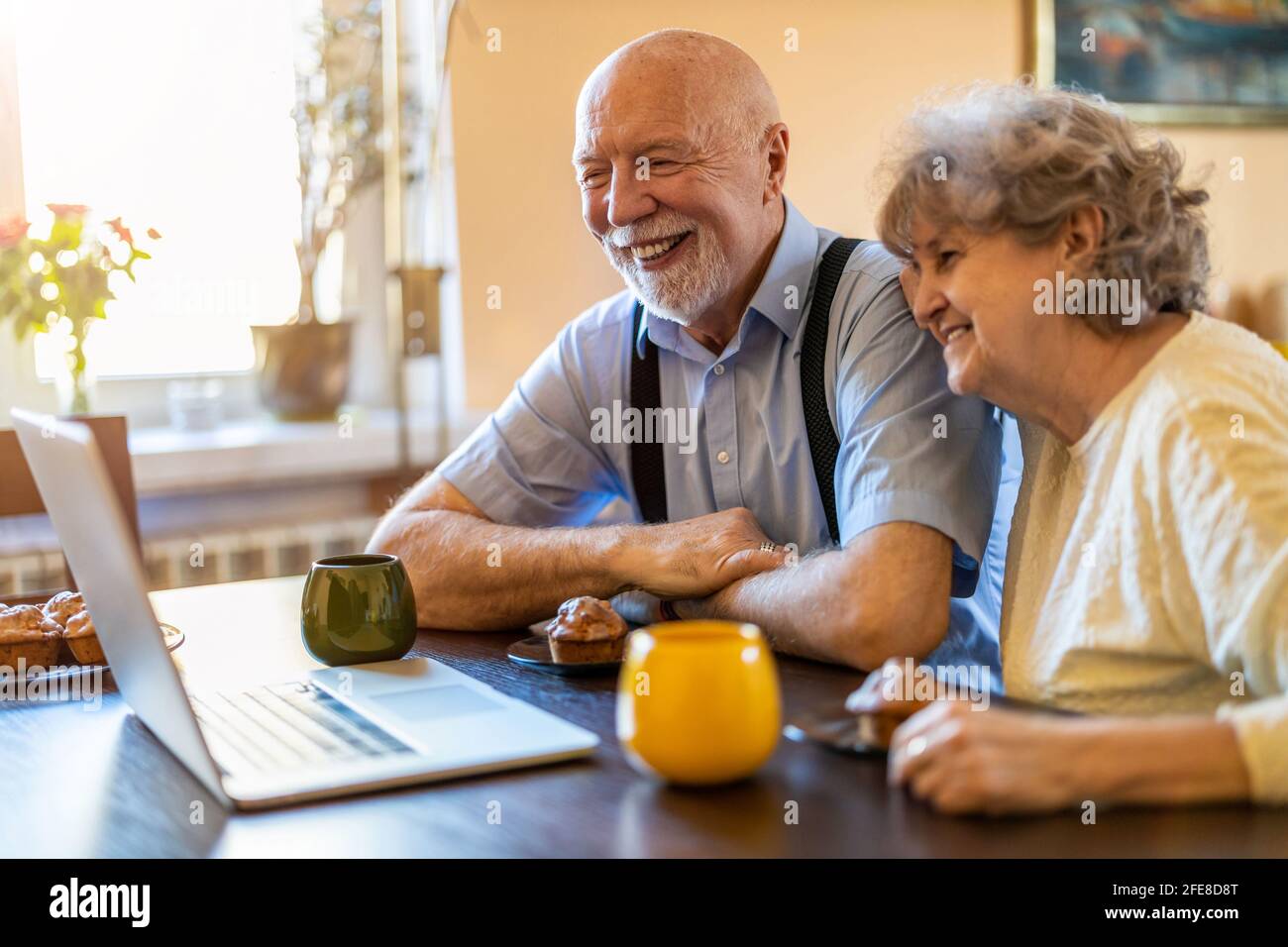 Senior couple using a laptop at home Stock Photo