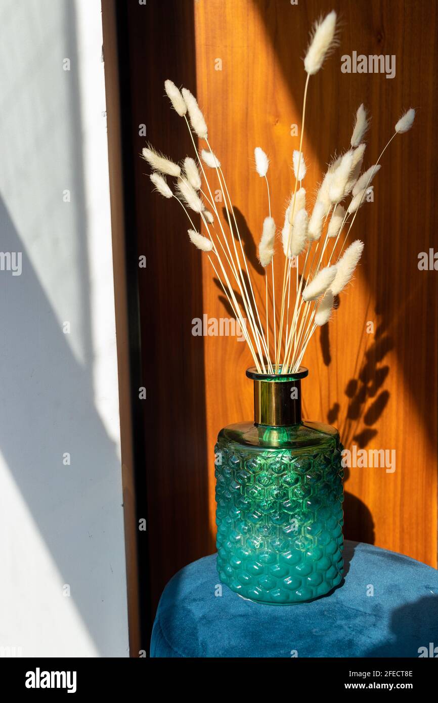 Dried tulip petals hires stock photography and images Alamy