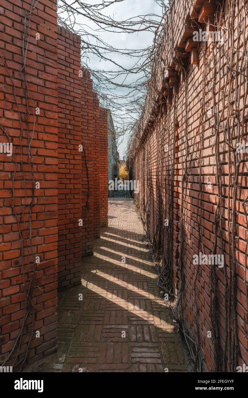 Traditional red brick wall background Stock Photo Alamy
