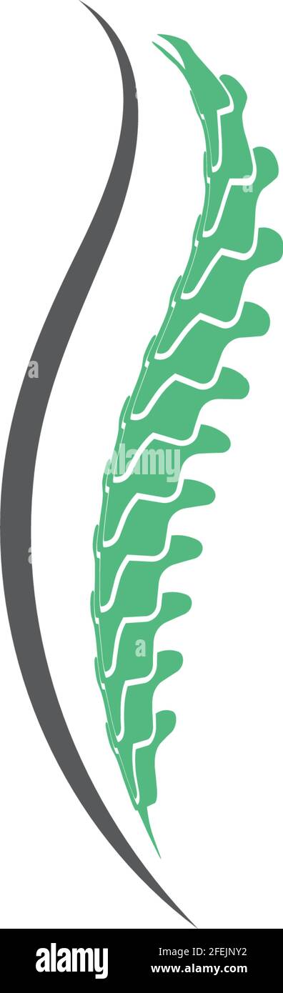 Spine diagnostics symbol logo template vector illustration design Stock Vector