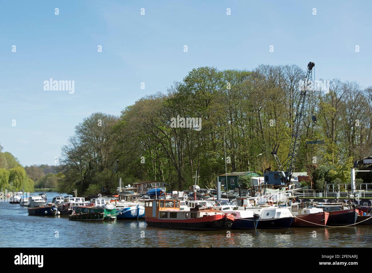 boats moored at eel pie island on the river thames at twickenham, middlesex, england Stock Photo