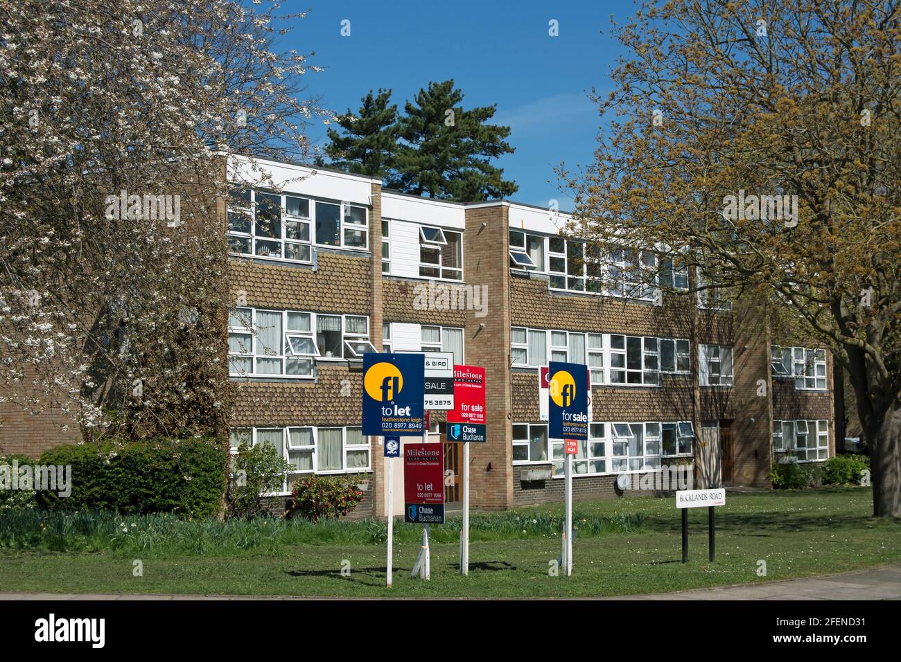 estate agents signs outside a purpose built modern block of  flats in teddington, middlesex, england Stock Photo