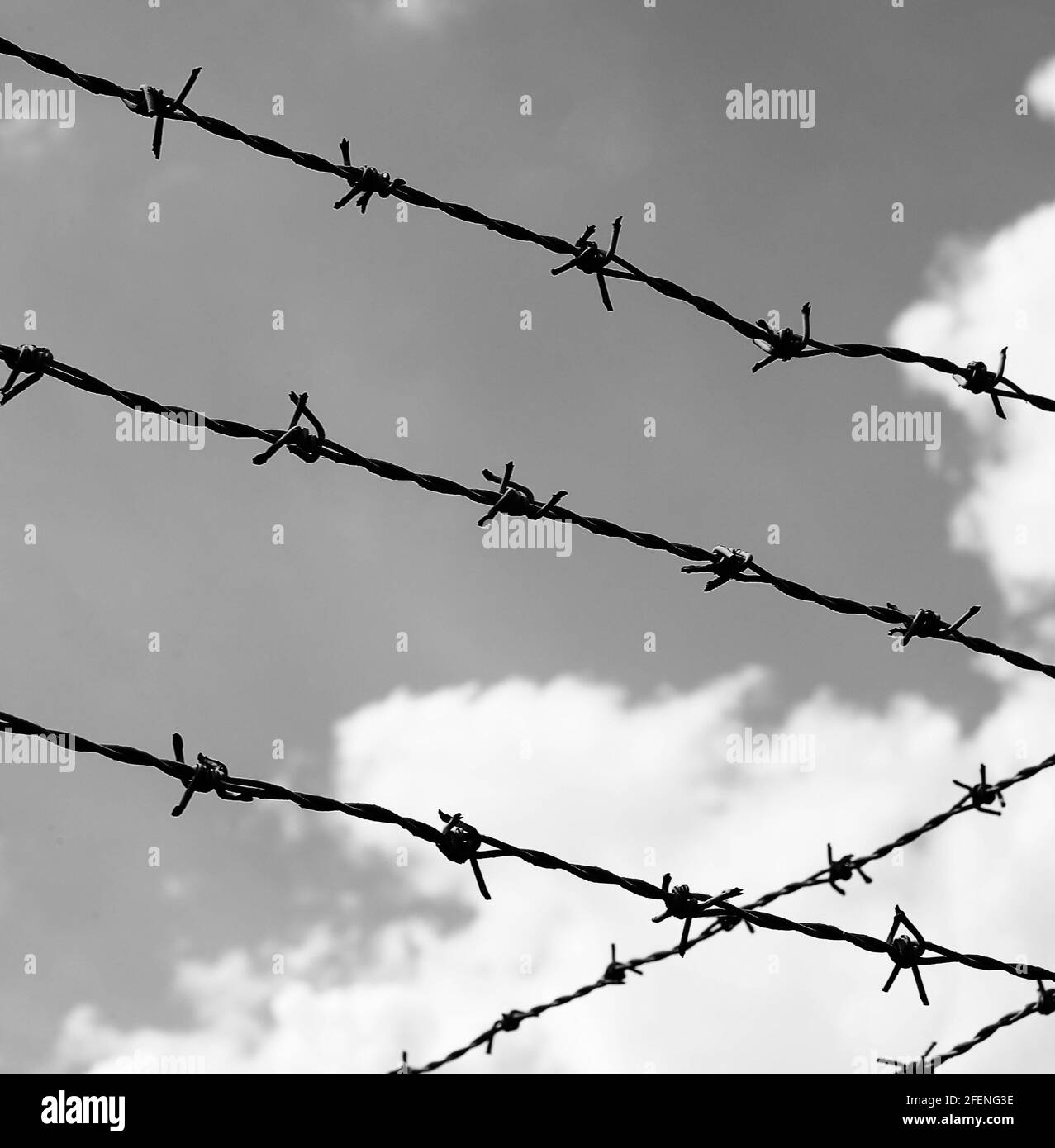 many lines of barbed wire to delimit the boundary of the territory with