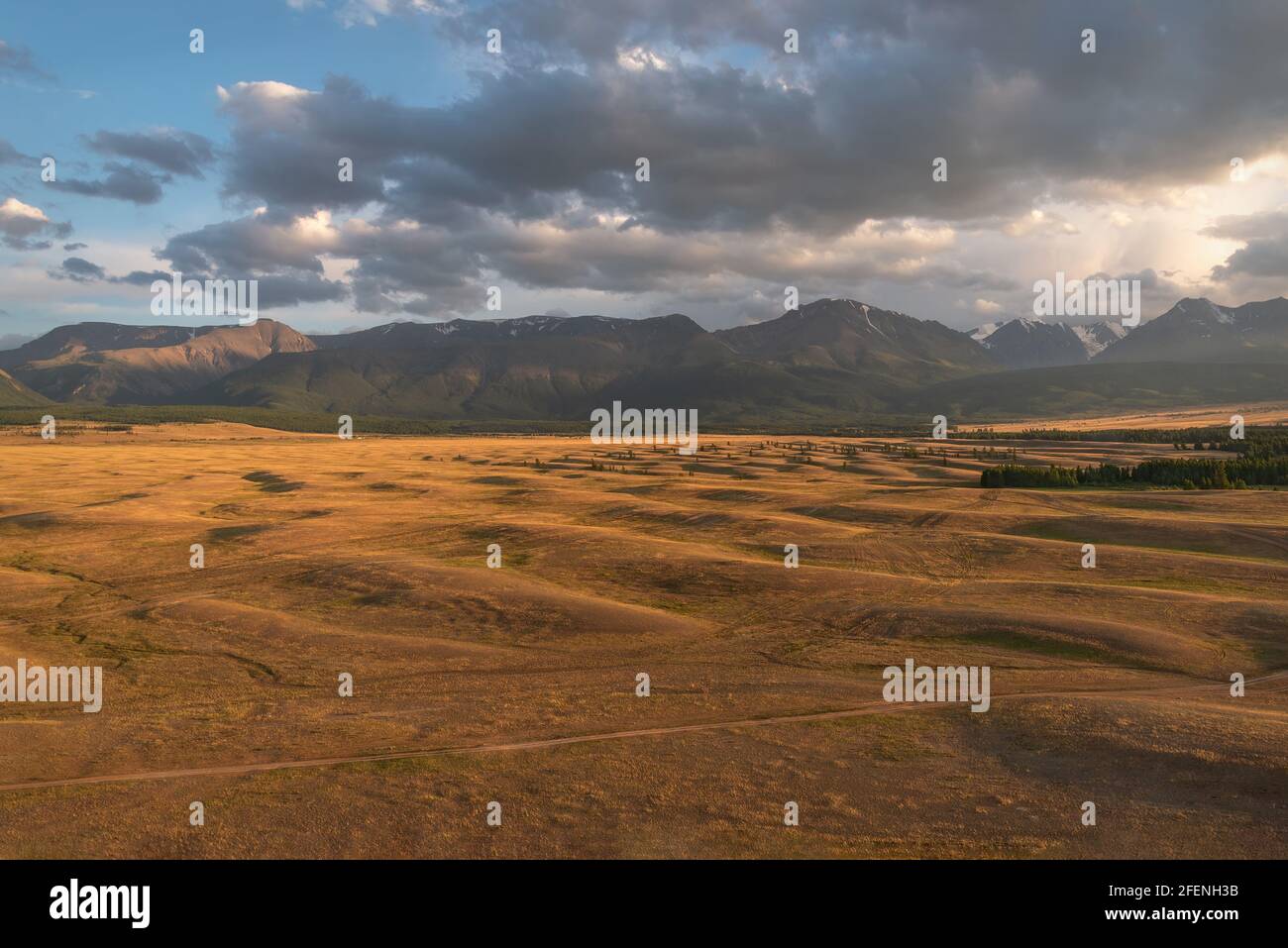Scenic top view of amazing earth ripples in the steppe, forest and ...