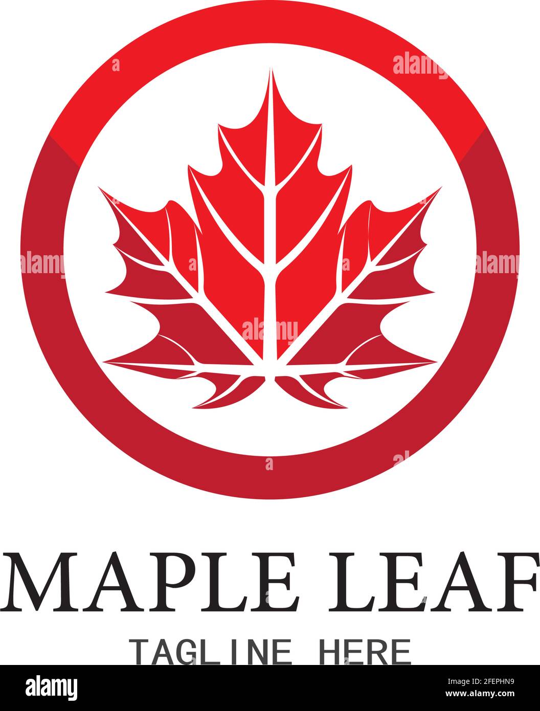 maple 2019 how to find vectors