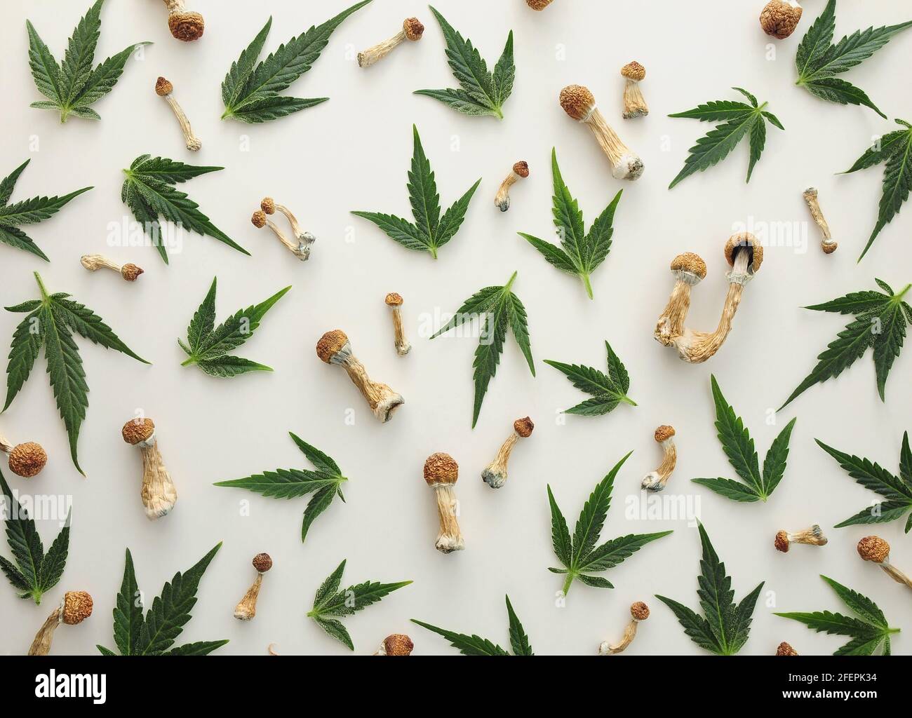 Microdosing concept. Pattern of psilocybin mushrooms and marijuana leaves isolated on white background. Psychedelic pattern, magic trip concept. Stock Photo