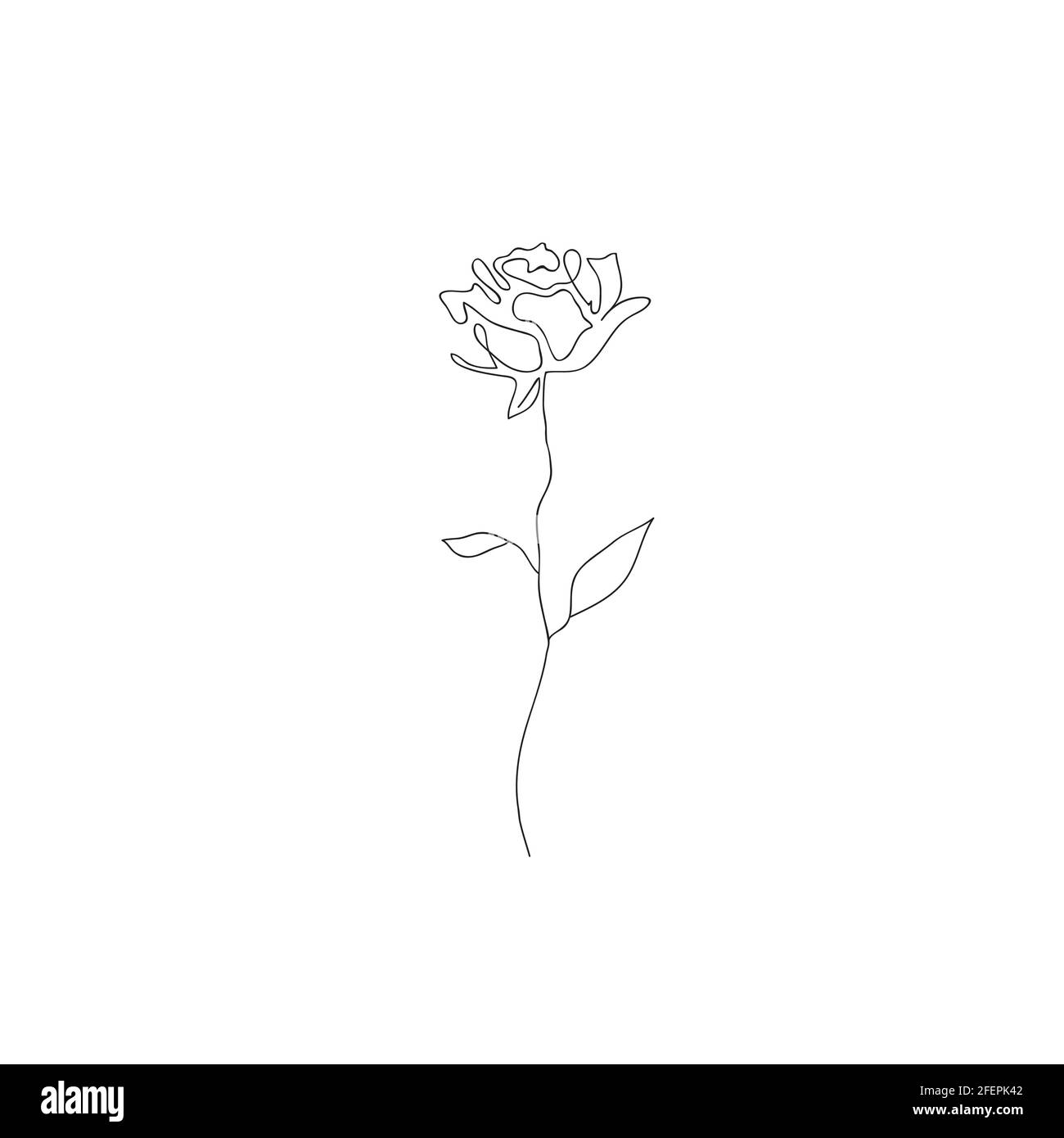 Rose Vector Black And White Contour Drawing Stock Illustration  Download  Image Now  Rose  Flower Line Art Vector  iStock