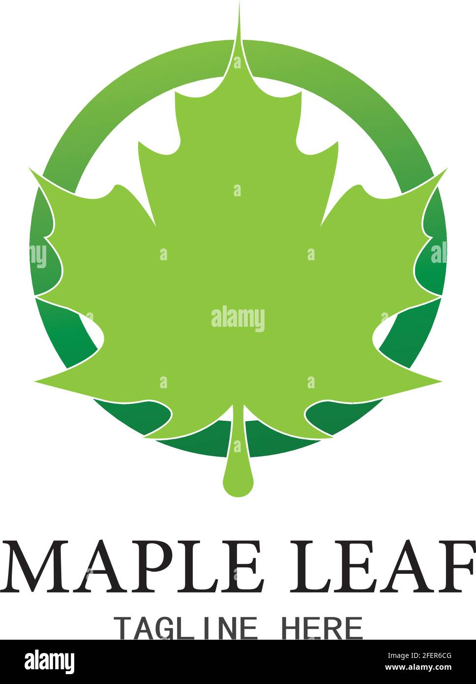 Maple leaf vector illustration design template Stock Vector Image & Art ...