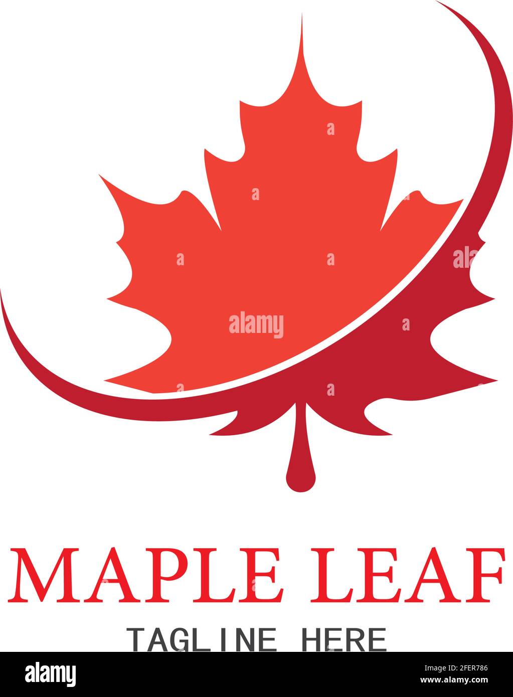 Maple leaf vector illustration design template Stock Vector