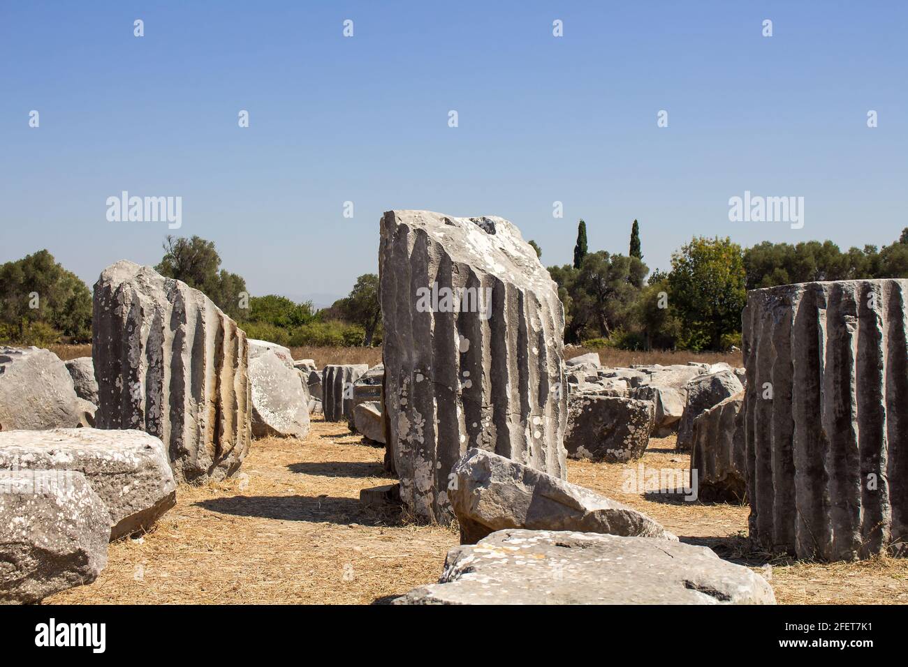 View of historical ruins and olive trees at ancient Greek city called Teos on the coast of Ionia located in Sigacik / Seferihisar district of Izmir pr Stock Photo