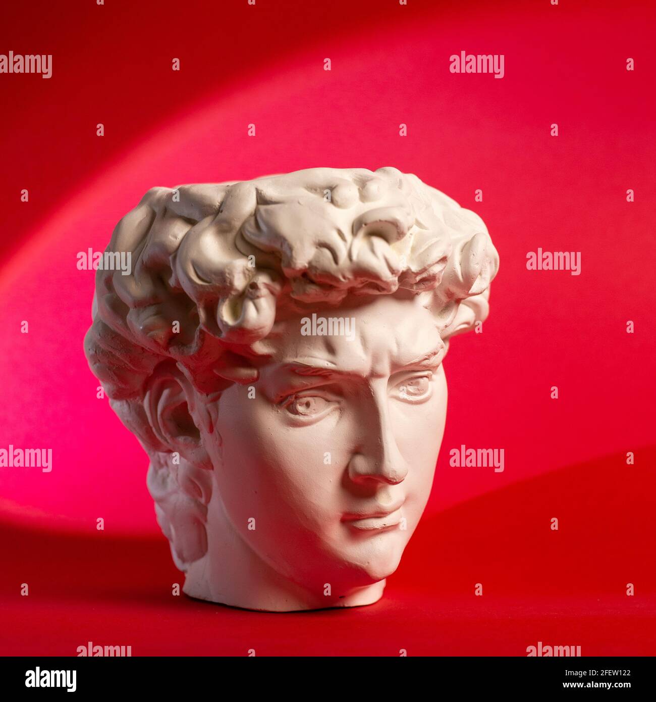 Gypsum statue of David's head. Michelangelo's David statue plaster copy