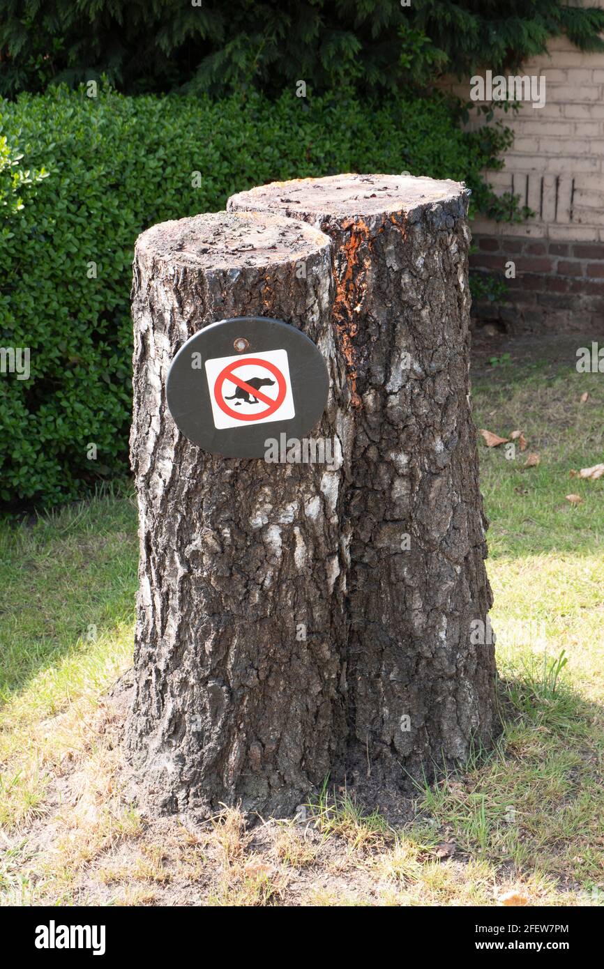 Sawed-off tree trunk with no poop sing for dogs Stock Photo