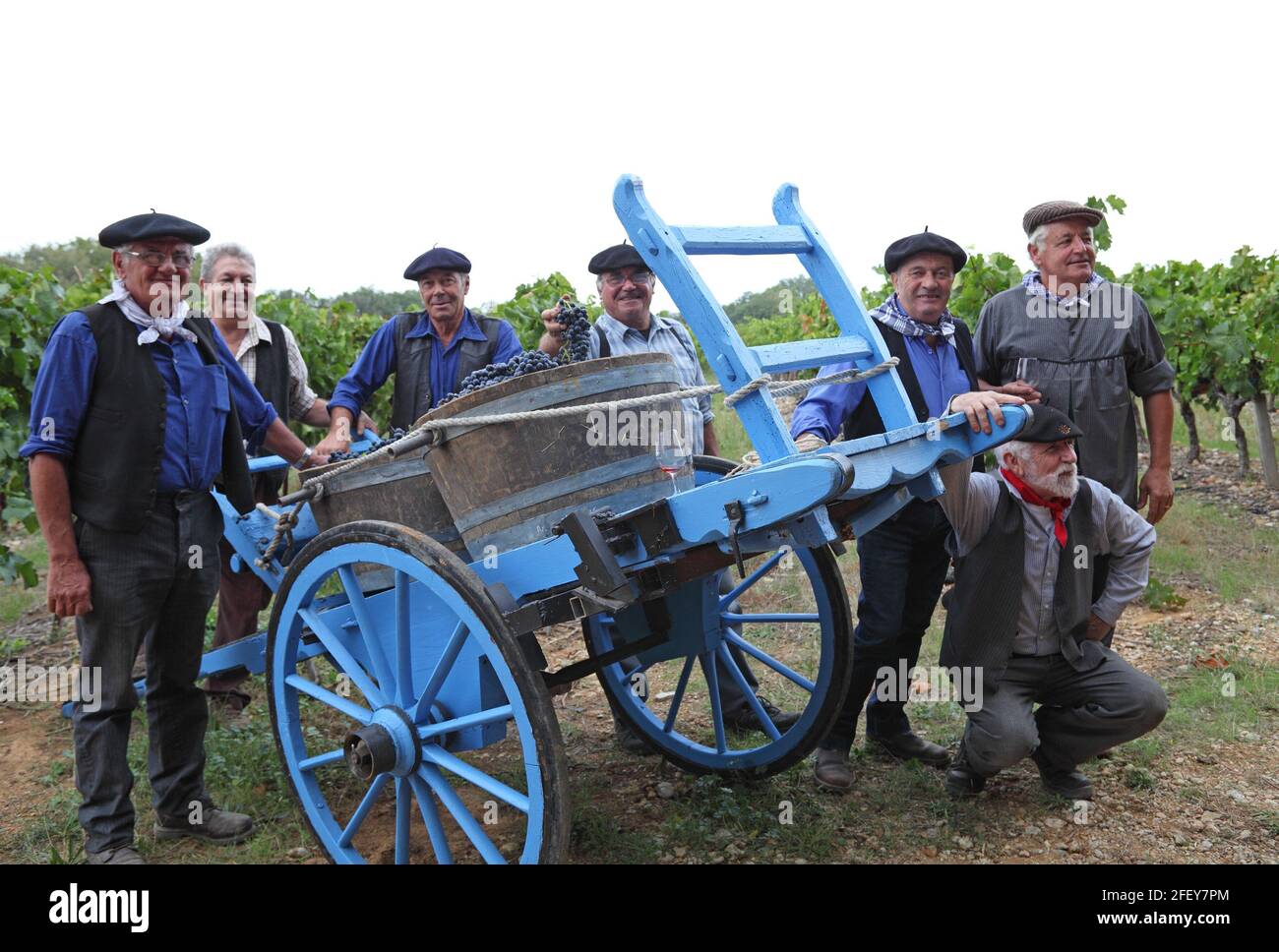 Grape harvest festival in the vineyards with a group of traditionally dressed villagers and blue cart, St Christol, Pays de Lunel, L'Herault, Occitania, Languedoc Roussillon, France Stock Photo