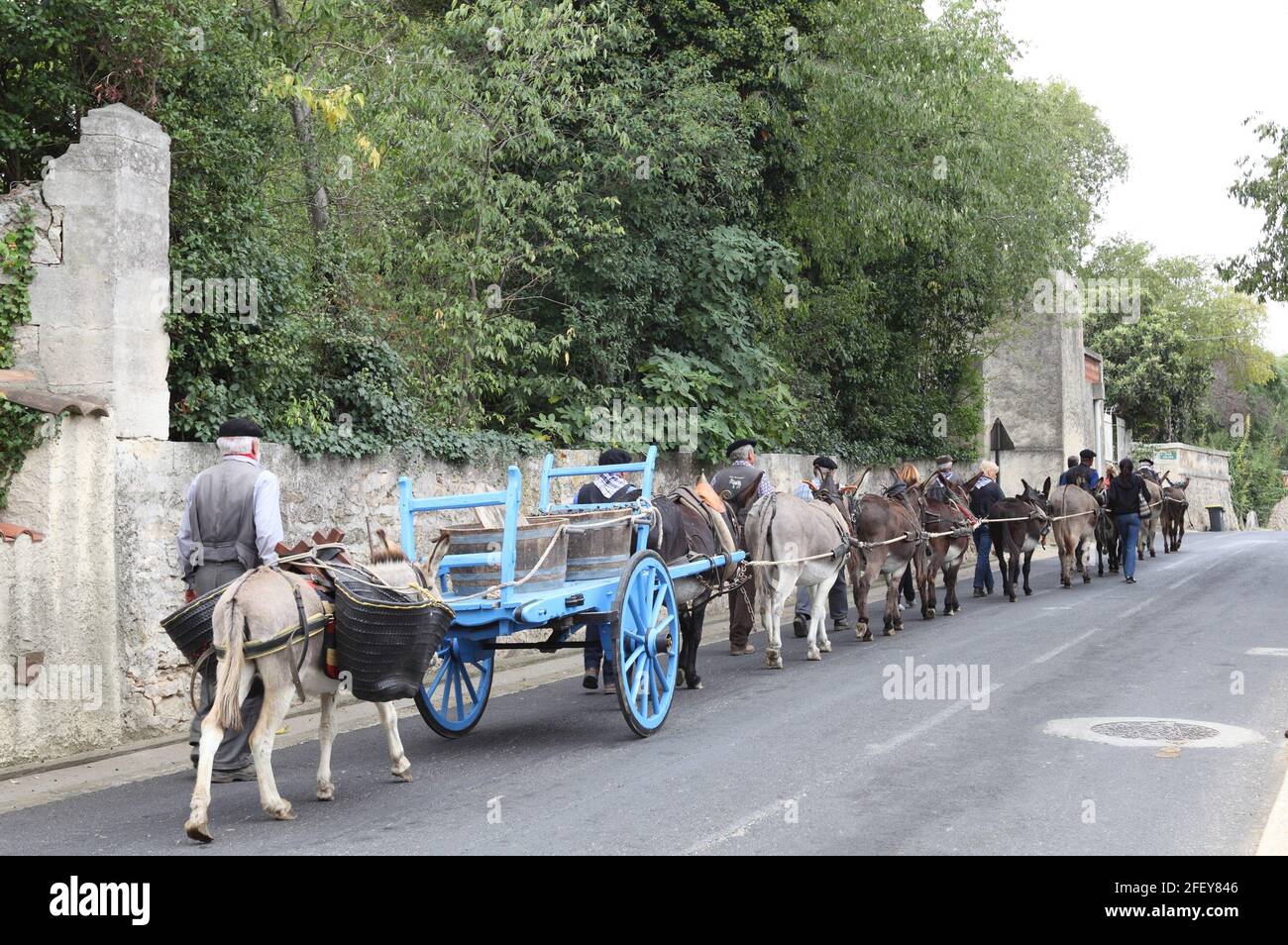 Grape harvest festival with villagers in traditional dress, donkeys and panniers of grapes, parade through St Christol, Pays de Lunel, L'Herault, Occitania, Languedoc Roussillon, France Stock Photo