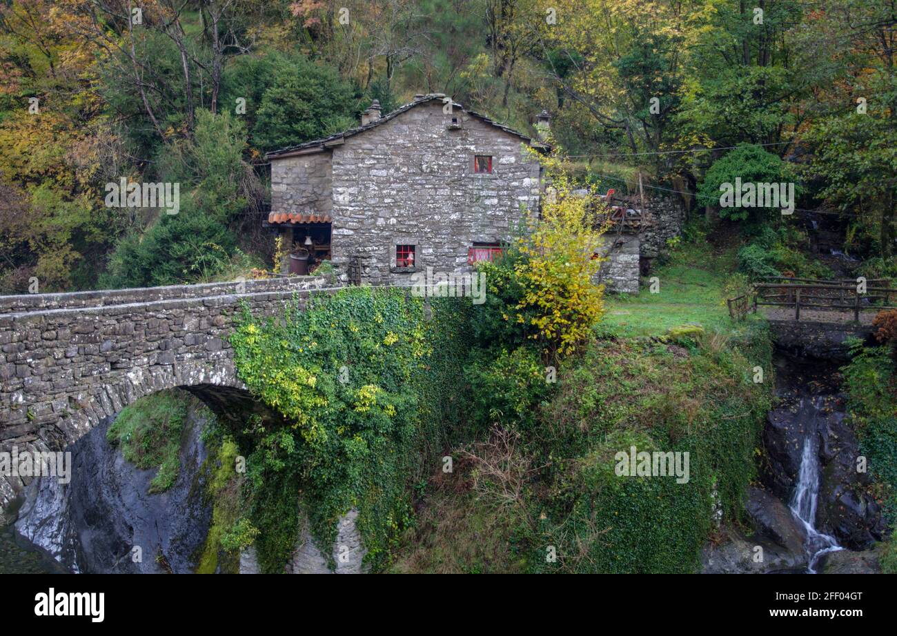 Pretty stone house at the beginning of a grove Stock Photo