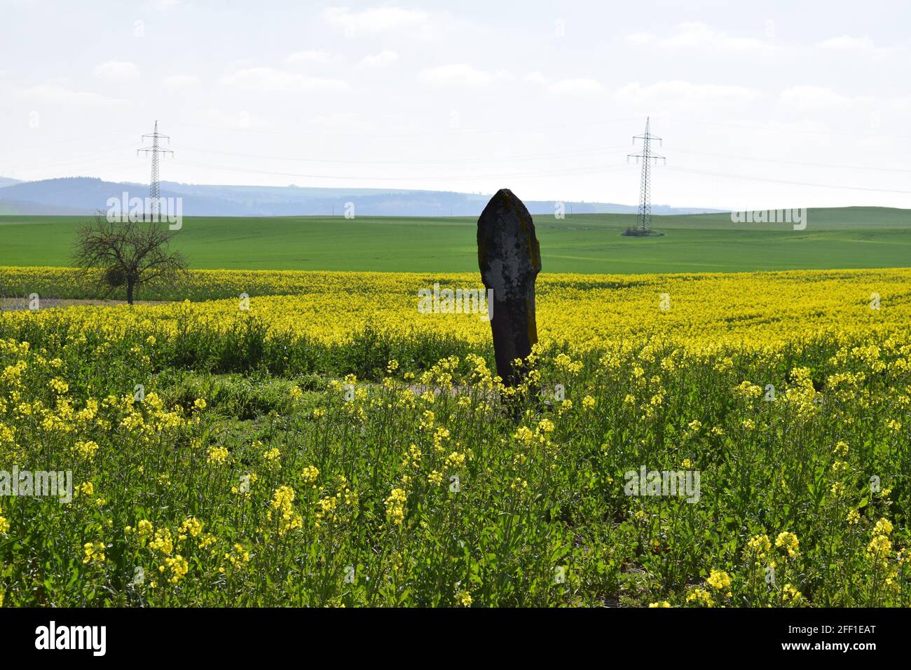 stoen cross in yellow fields Stock Photo