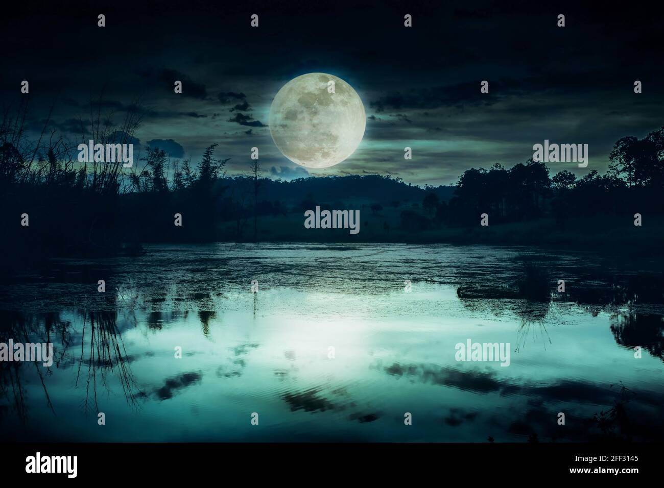 Landscape of dark night sky. Beautiful bright full moon and cloudy above  silhouettes of trees and lake. Serenity nature background Stock Photo -  Alamy, image size:1300x956