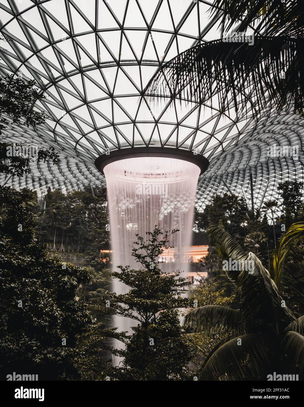 Singapore Changi Airport Jewel Indoor Rainforest