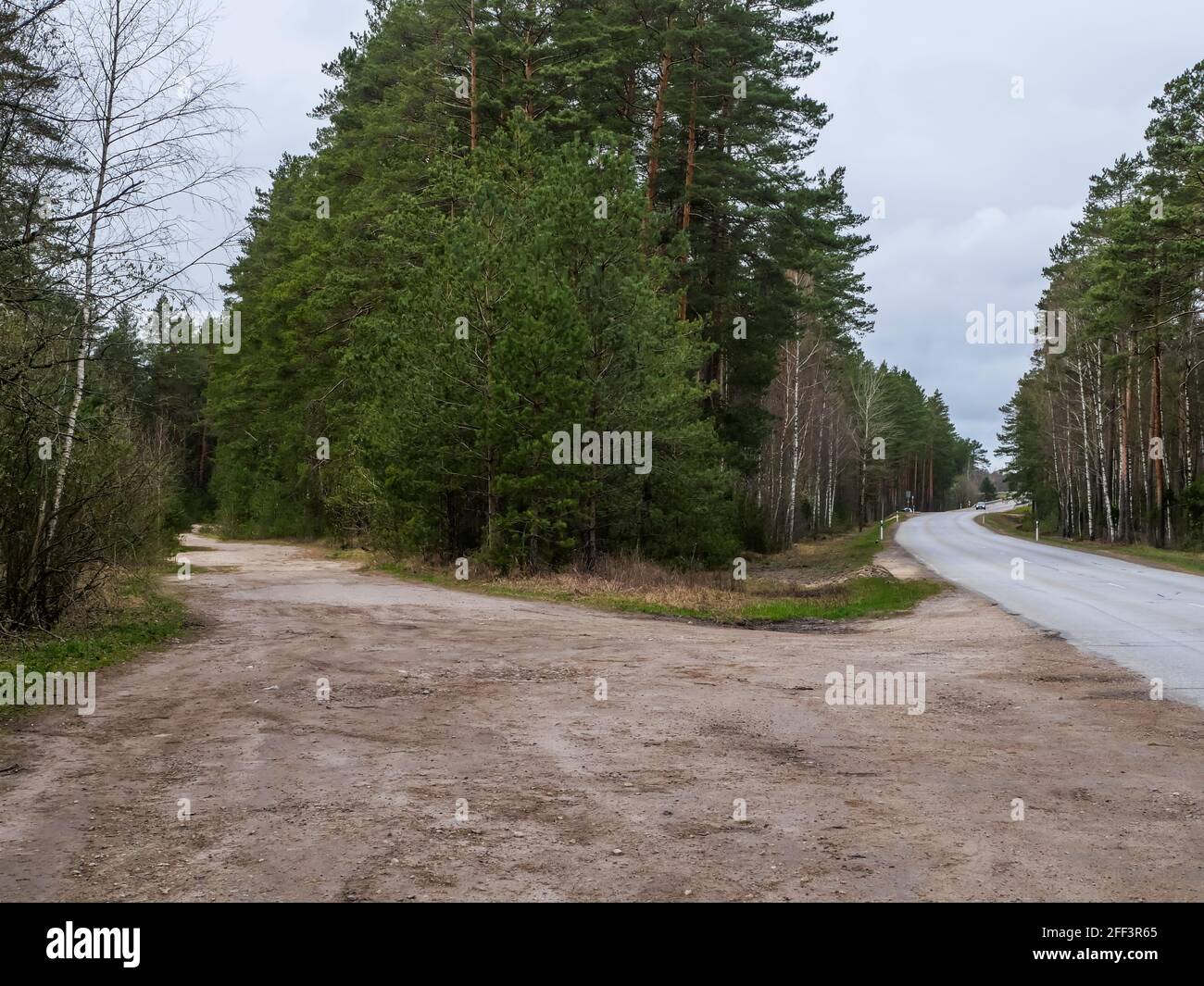 empty forest road with tractor car tire track marks and green nature around. forest and nature. Stock Photo