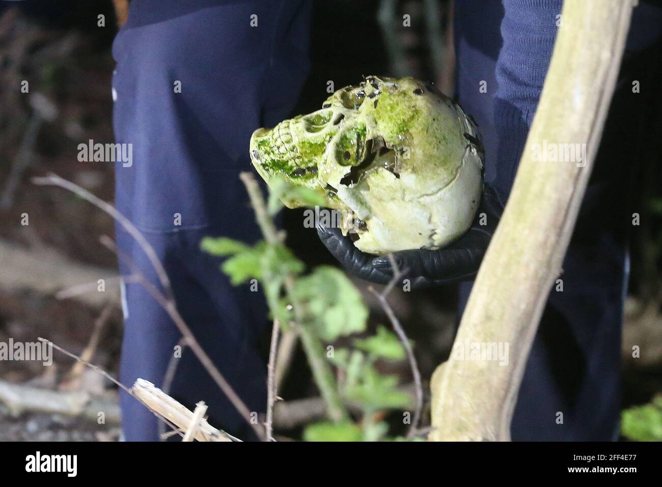 Duesseldorf, Germany. 23rd Apr, 2021. A firefighter holds a replica of a human skull found in Unterbach Lake by a couple of day-trippers. (to dpa 'Boaters discover skull on lake bottom - only replica') Credit: David Young/dpa/Alamy Live News Stock Photo