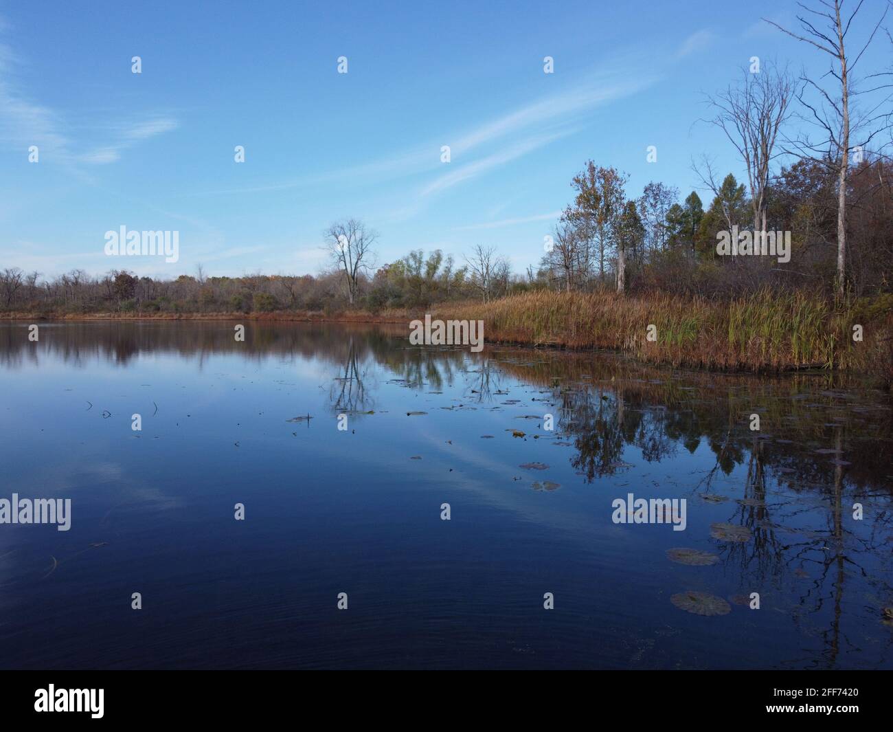 Reflection of tree line on small Michigan lake while the fall weather has removed the tree's leaves. Stock Photo