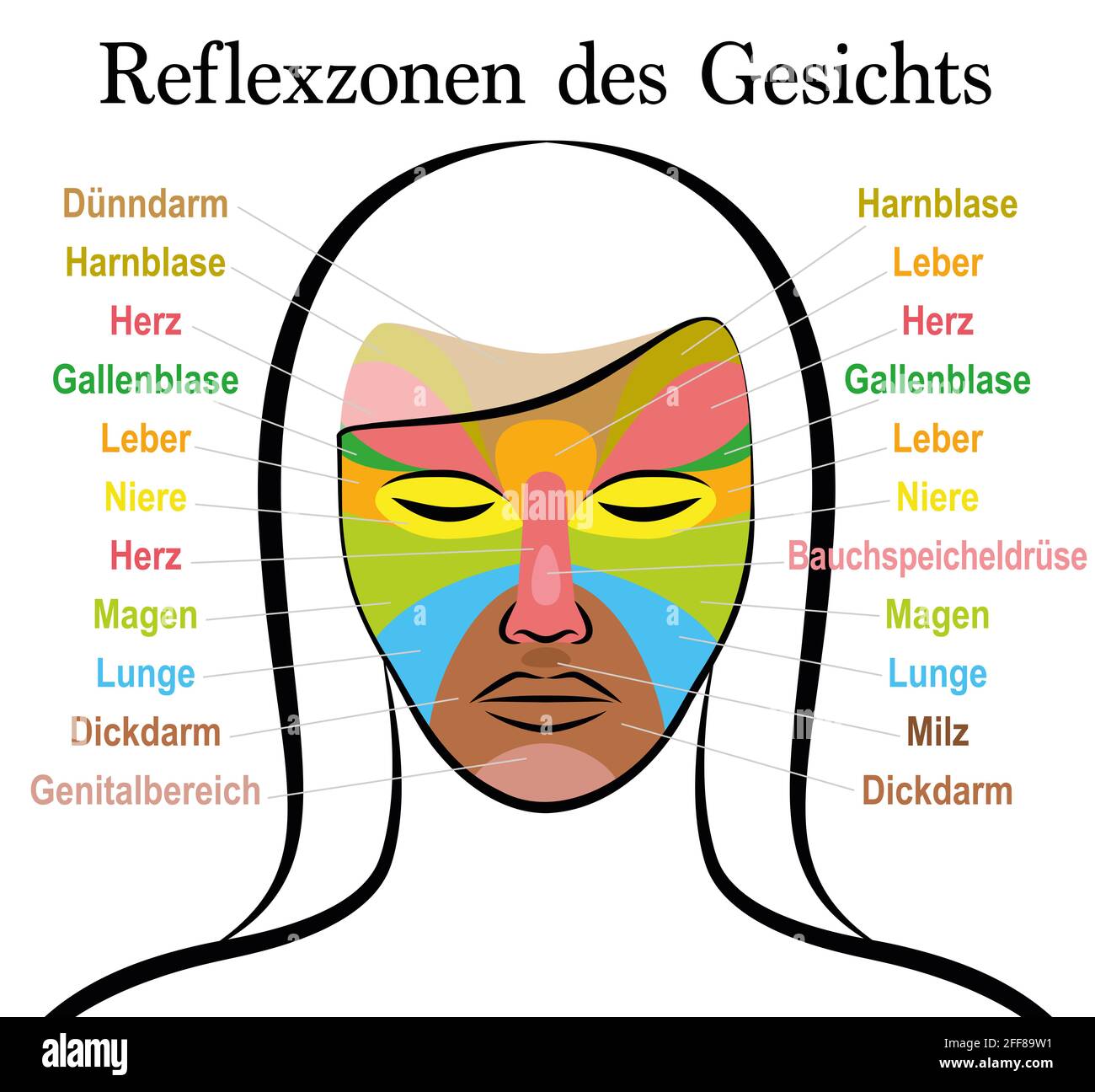 Face reflexology chart, german text, female face. Acupressure and physiotherapy health treatment. Zone massage chart with colored areas and names. Stock Photo
