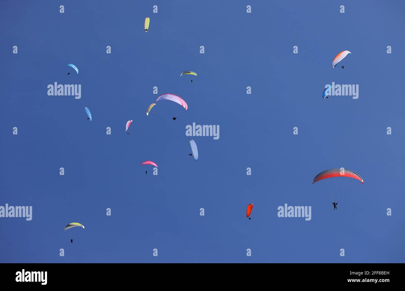 Buching, Germany. 24th Apr, 2021. Paragliders soar in the cloudless sky over the Buchenberg. Credit: Karl-Josef Hildenbrand/dpa/Alamy Live News Stock Photo
