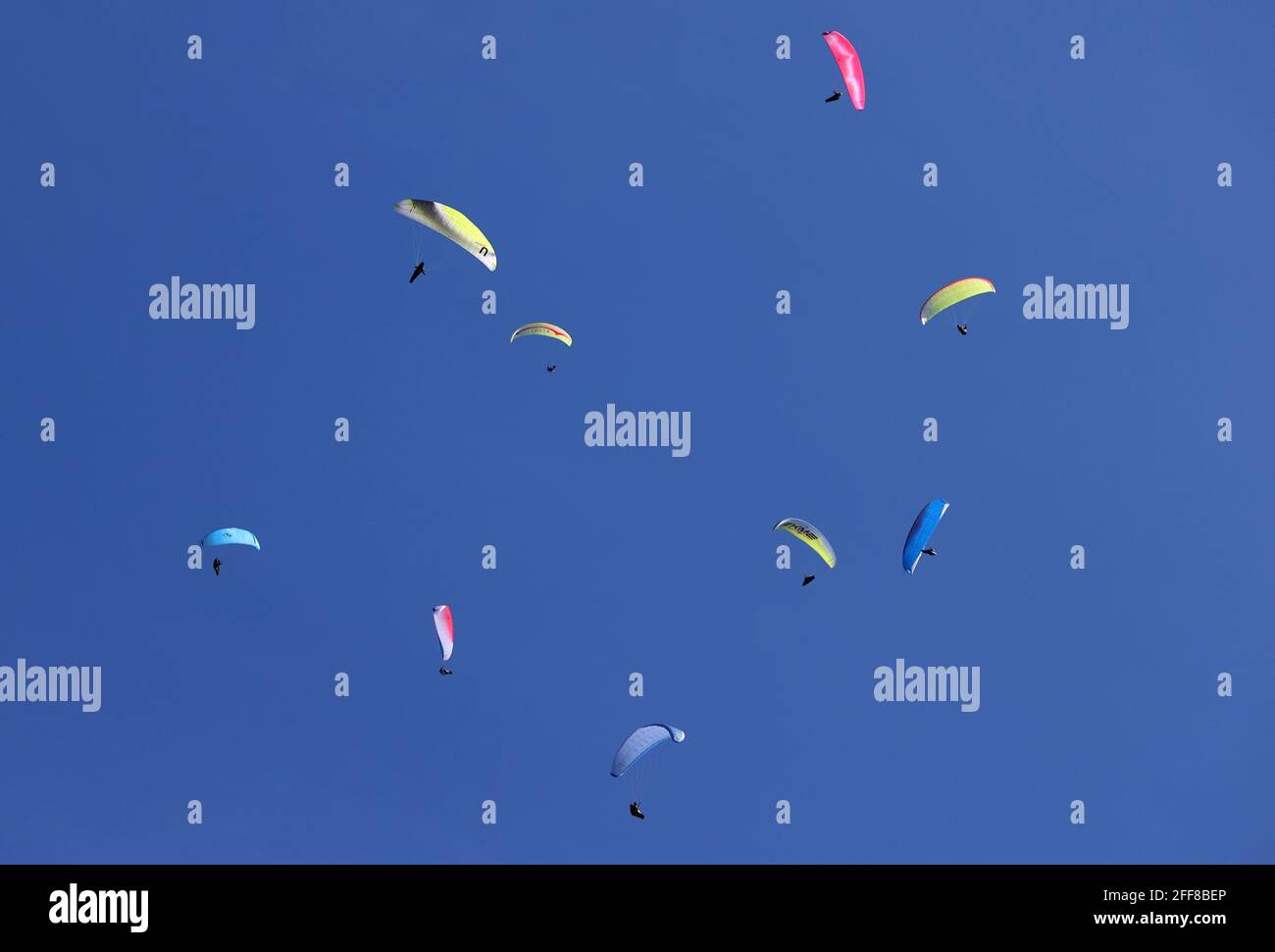 Buching, Germany. 24th Apr, 2021. Paragliders soar in the cloudless sky over the Buchenberg. Credit: Karl-Josef Hildenbrand/dpa/Alamy Live News Stock Photo