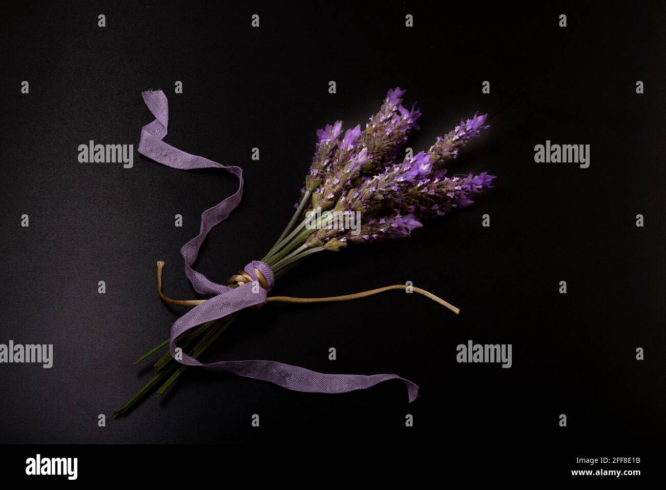 Bouquet of lavender flowers tied with cream colored rope and purple ribbon. All on black background Stock Photo