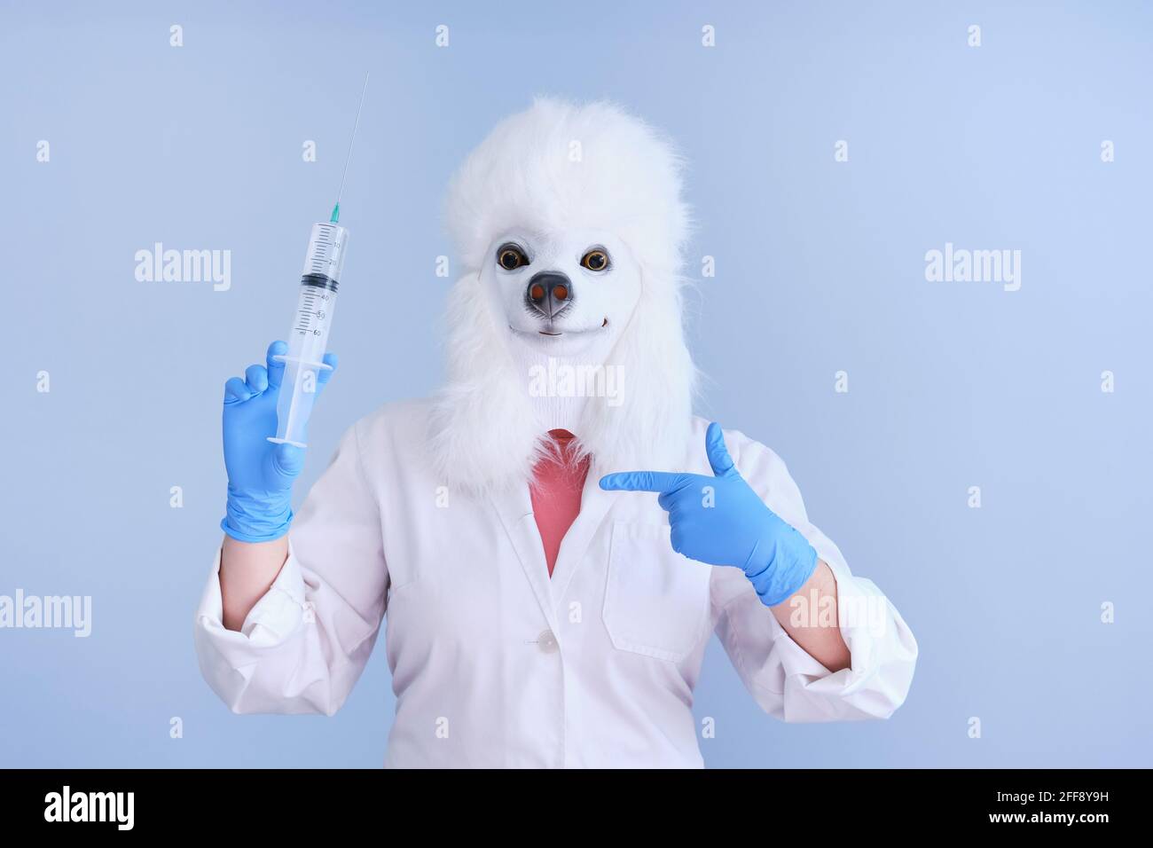 Young woman in a latex dog head mask and white coat holding a big syringe on a blue background. Doctor medical veterinary concepts. Stock Photo