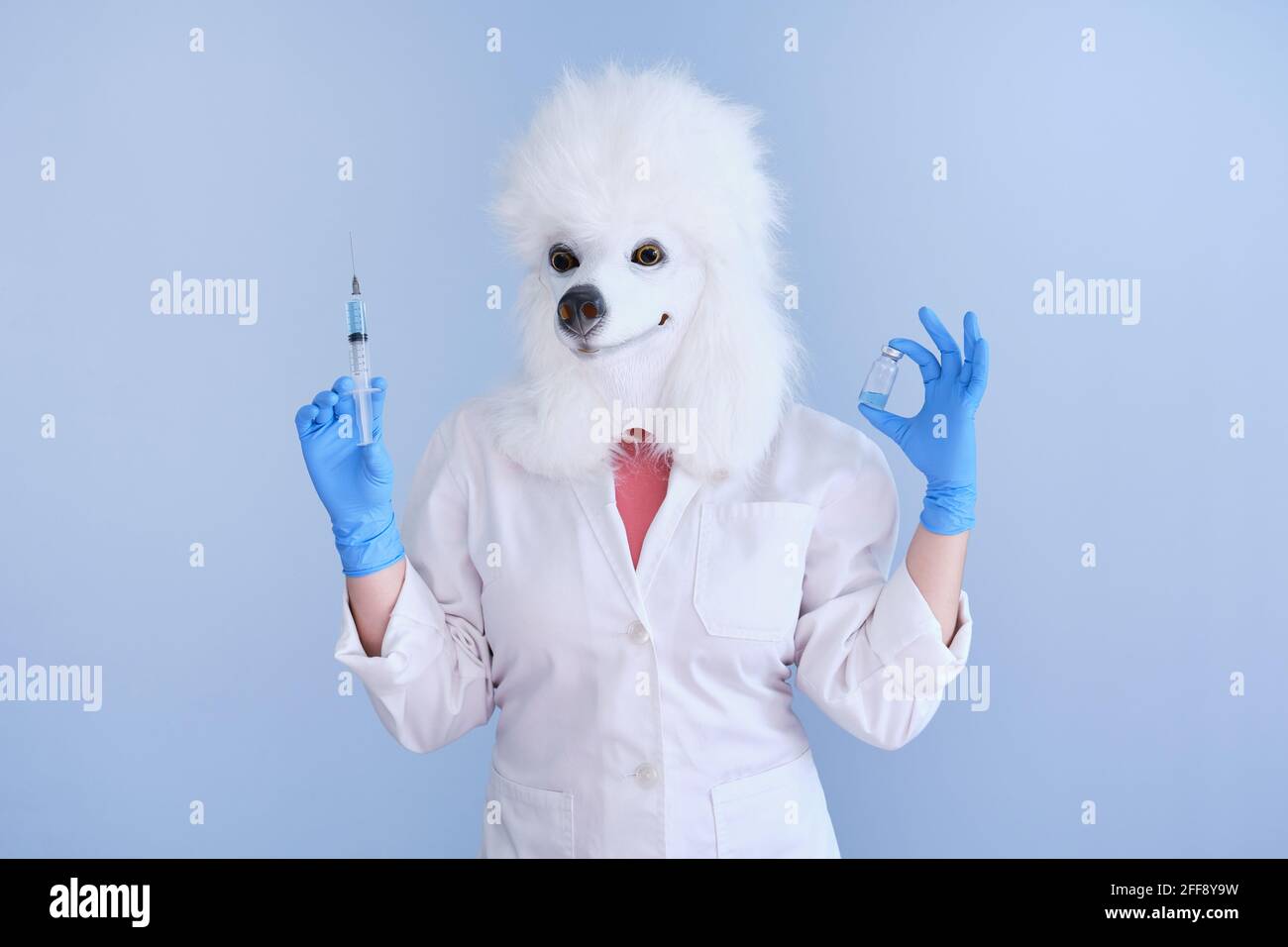 Young woman in a latex dog head mask and white coat holding a syringe and a vaccine vial on a blue background. Doctor medical veterinary concepts. Stock Photo