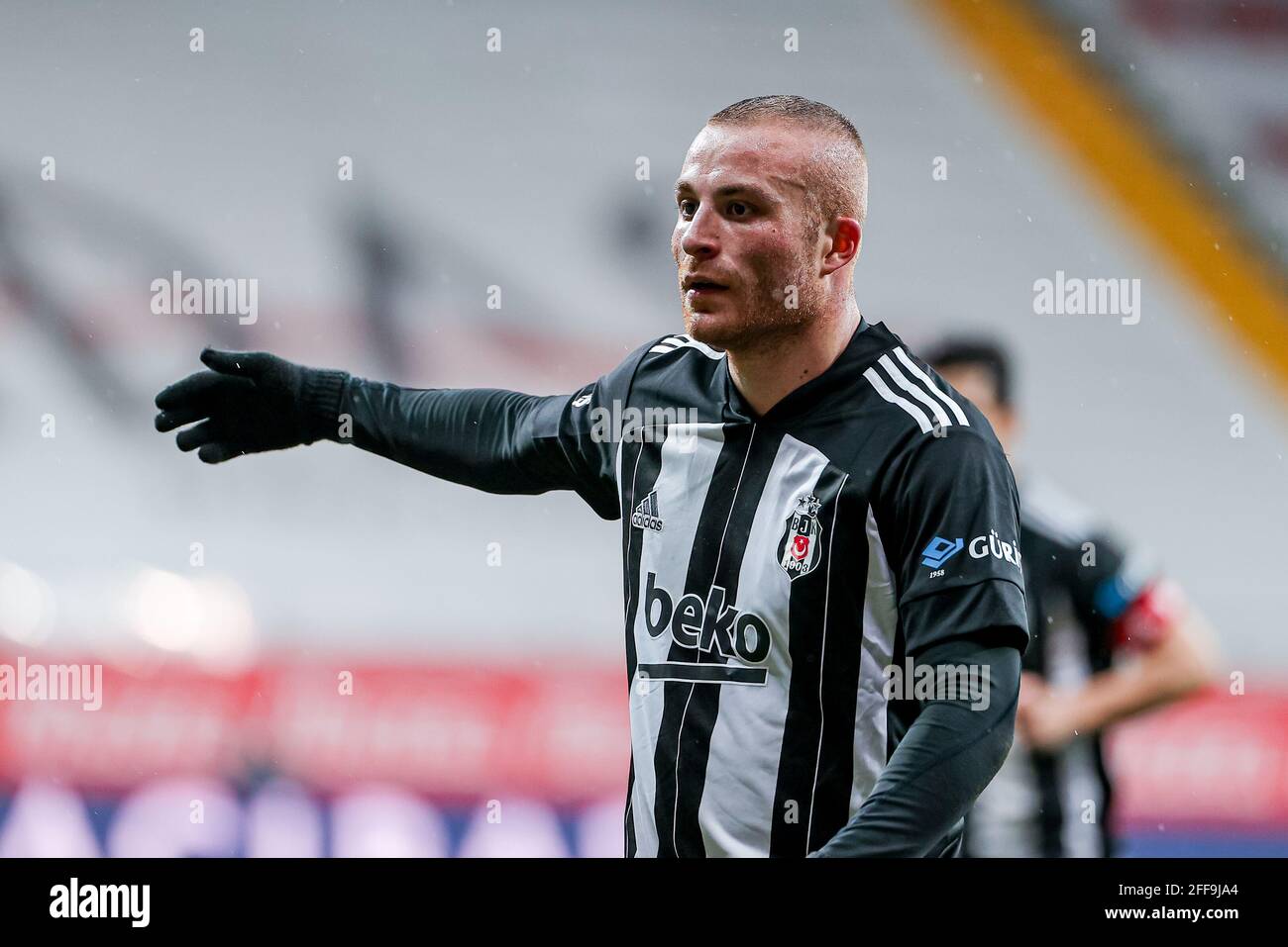 Holland park tore hi-res stock photography and images - Alamy