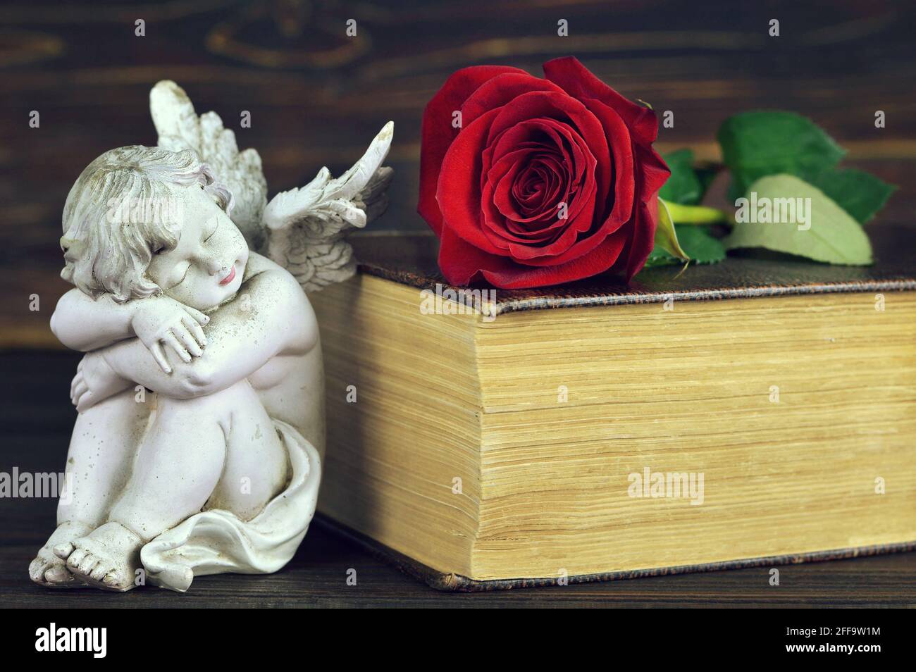 Sleeping angel, red rose and old book Stock Photo