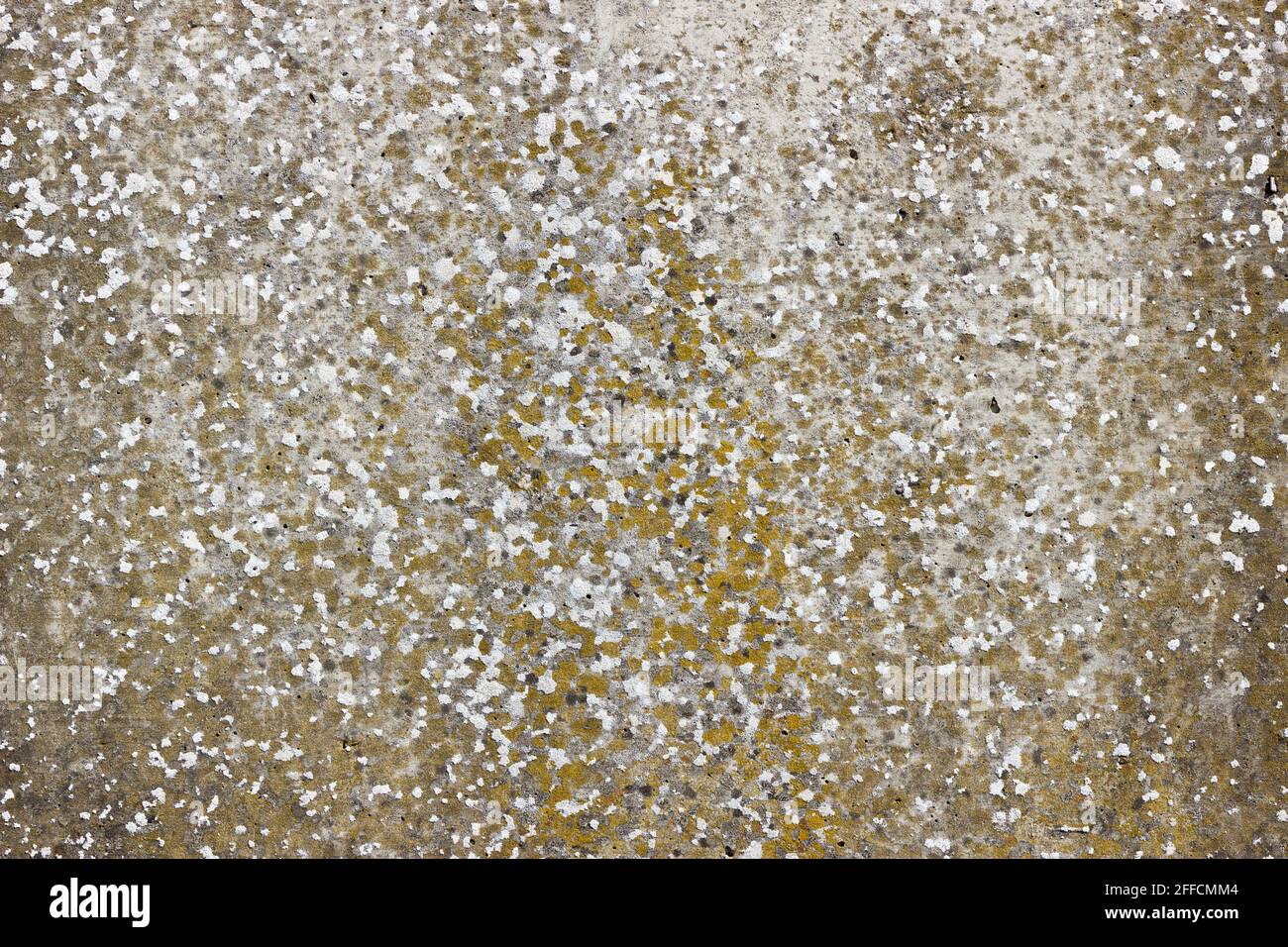 A flat grey concrete surface with lots of tiny air bubbles Stock Photo