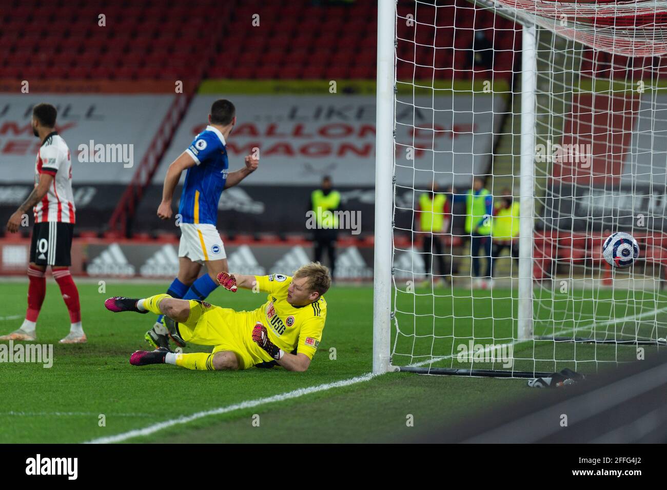 Jakub Moder Brighton / Footballfansstuff On Twitter Jakub Moder Lech Poznan Brighton Albion - This is the national team page of brighton & hove albion player jakub moder.